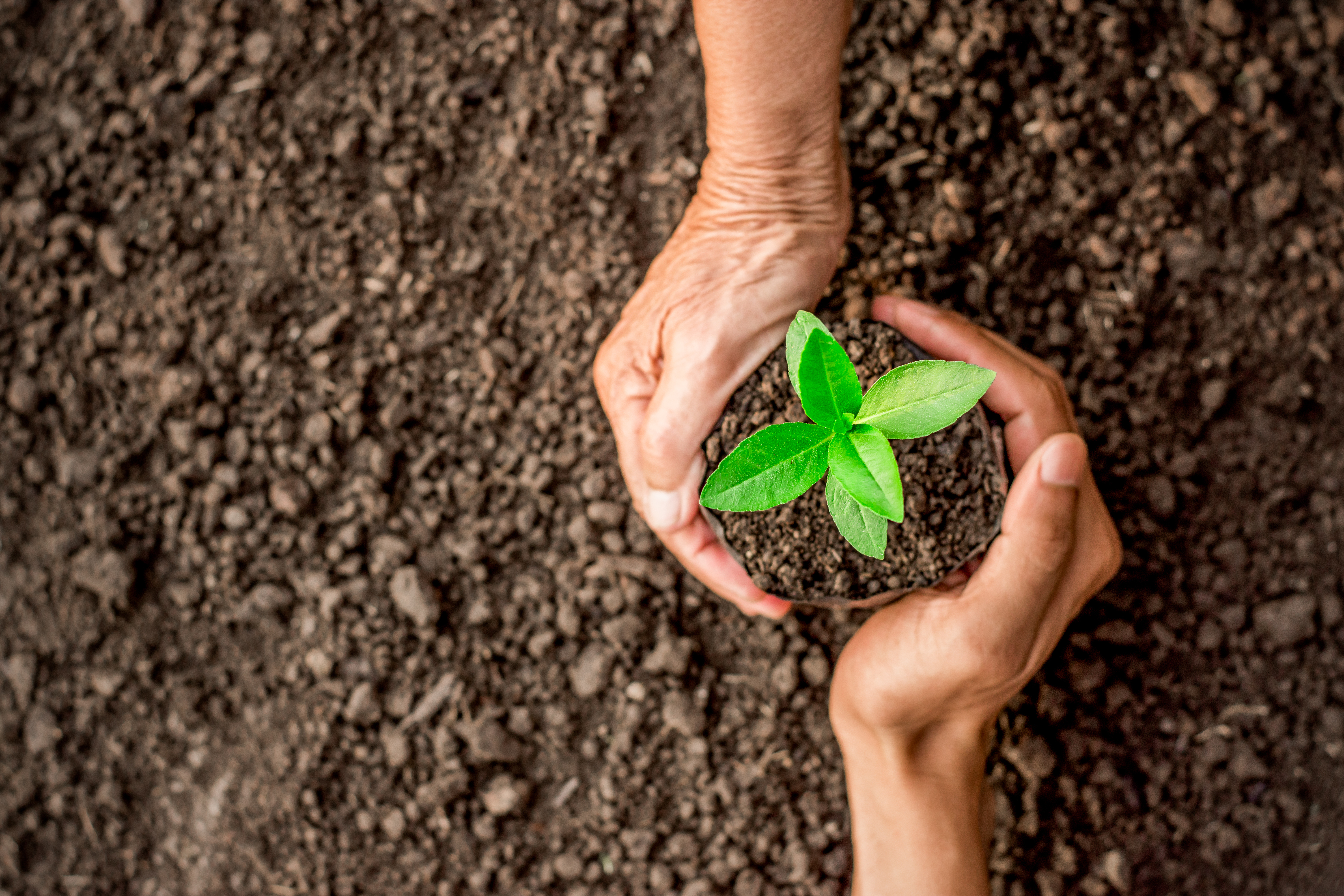 Environmentally Sustainable Travel Tips shutterstock 613473959