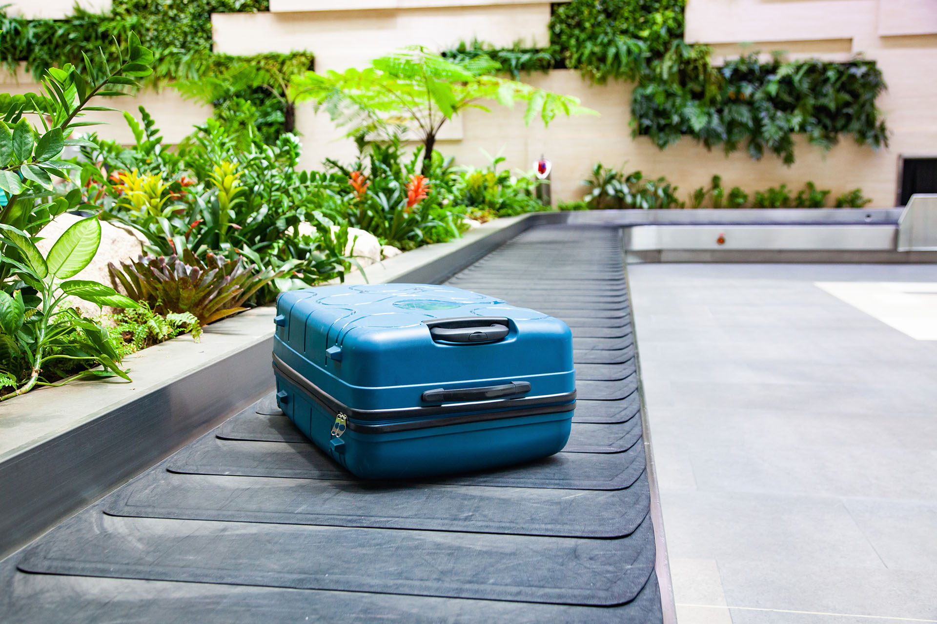 Sustainable Travel Doesn’t Have To Cost More Sustainable Travel doesn't have to cost more