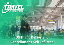 US Flight Delays and Cancellations-Self Inflicted